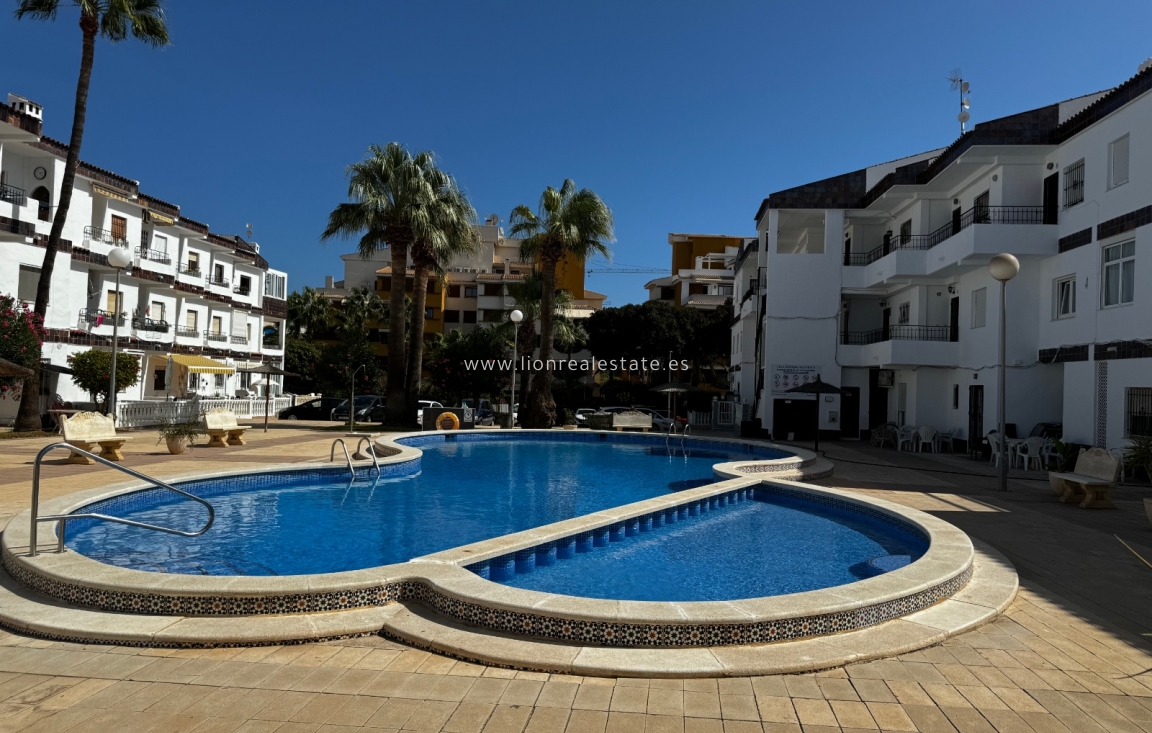 Alquiler a corto plazo - Apartamento / piso - Orihuela Costa - Punta Prima