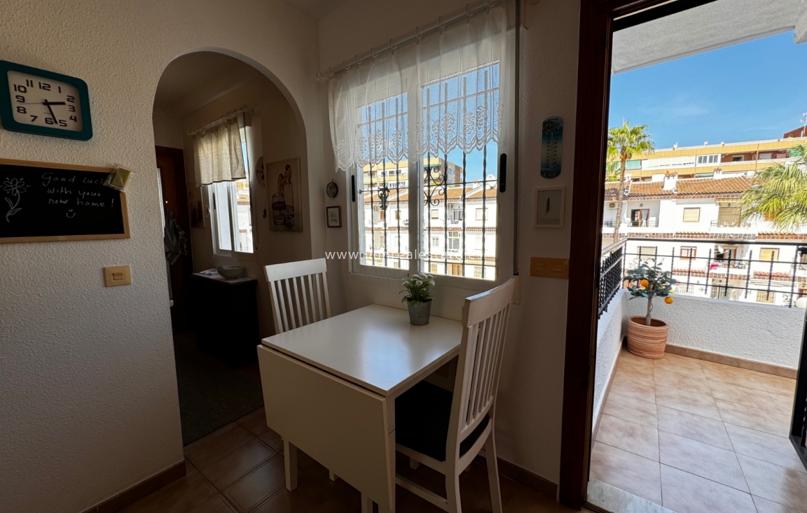 Alquiler a corto plazo - Apartamento / piso - Orihuela Costa - Punta Prima