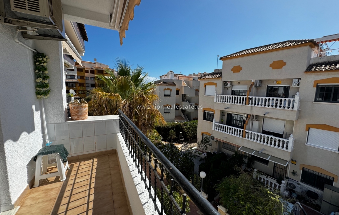 Alquiler a corto plazo - Apartamento / piso - Orihuela Costa - Punta Prima