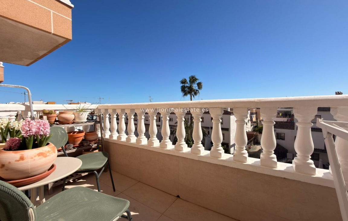 Alquiler a corto plazo - Apartamento / piso - Punta Prima