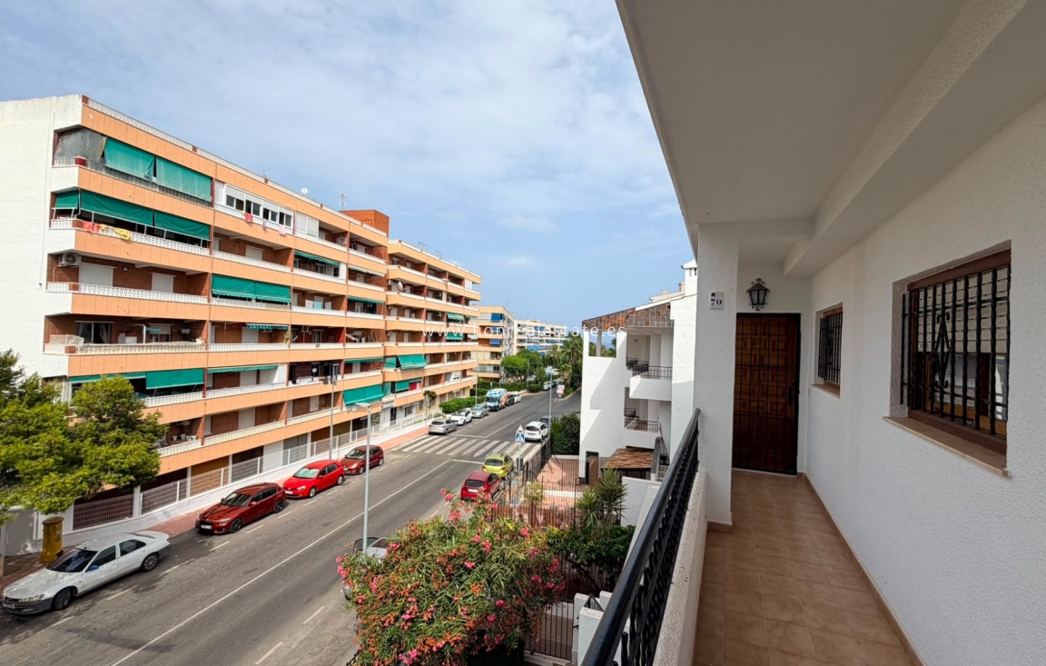 Alquiler a corto plazo - Apartamento / piso - Punta Prima