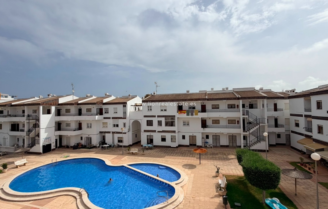 Alquiler a corto plazo - Apartamento / piso - Punta Prima