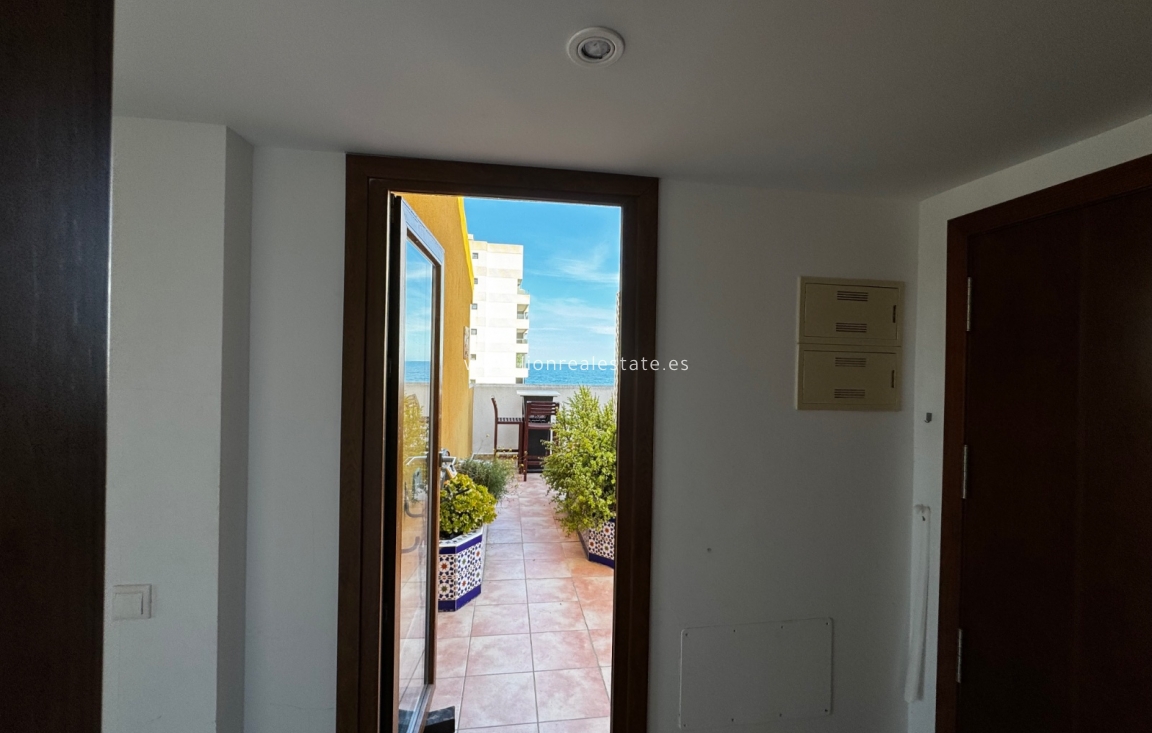 Alquiler a corto plazo - Apartamento / piso - Punta Prima