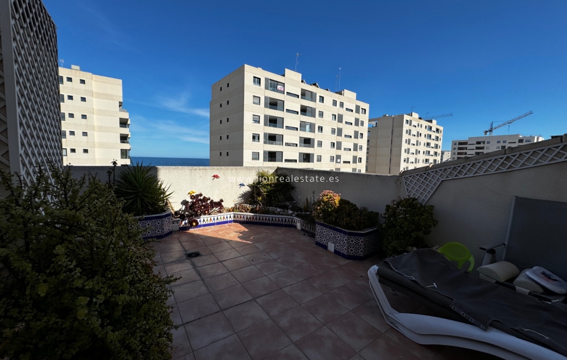 Alquiler a corto plazo - Apartamento / piso - Punta Prima