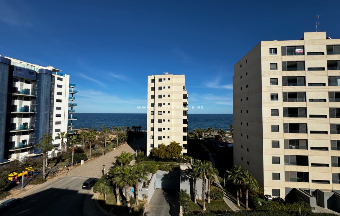 Alquiler a corto plazo - Apartamento / piso - Punta Prima