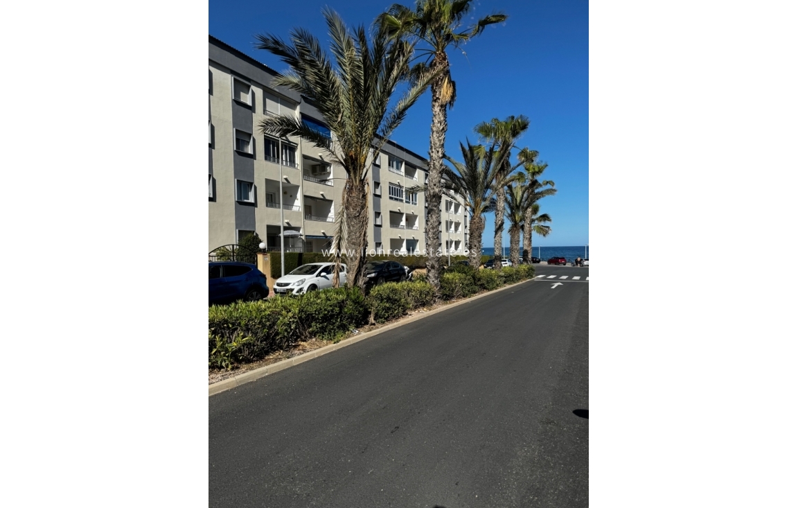 Alquiler a corto plazo - Apartamento / piso - Punta Prima