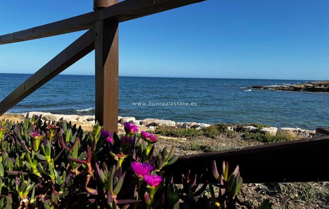 Alquiler a corto plazo - Apartamento / piso - Punta Prima