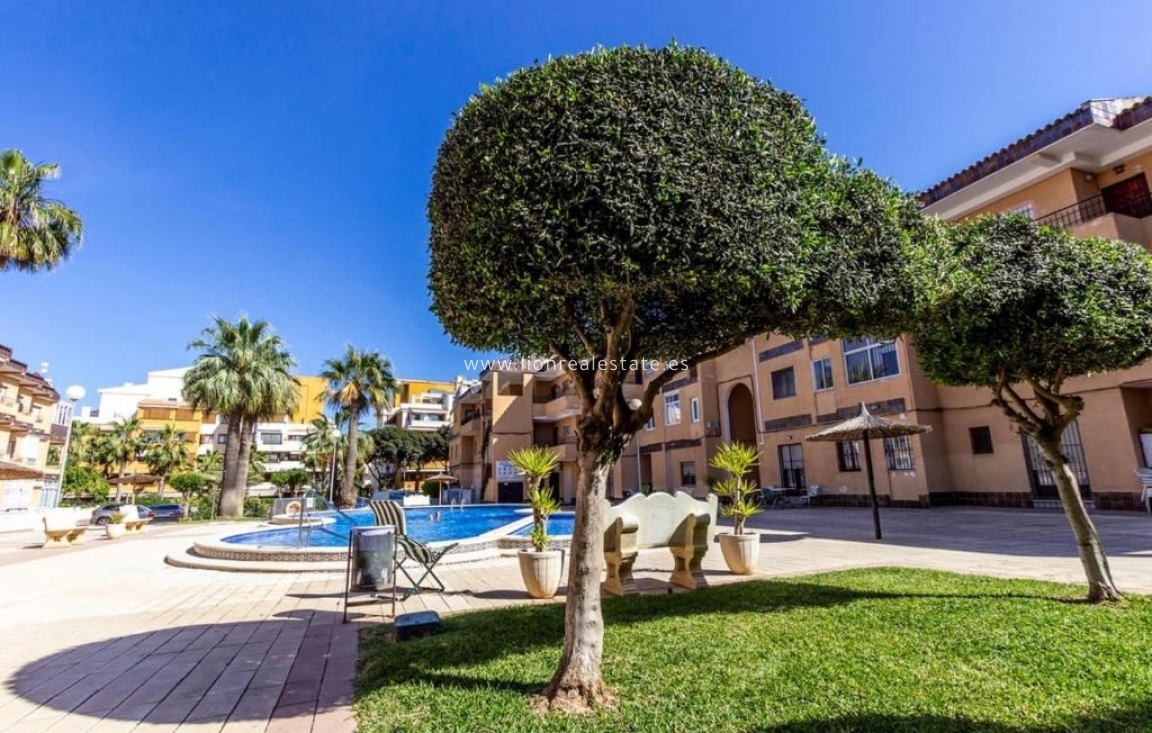 Alquiler a corto plazo - Apartamento / piso - Punta Prima