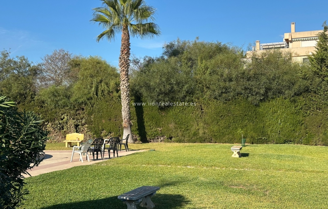 Alquiler a corto plazo - Apartamento / piso - Punta Prima