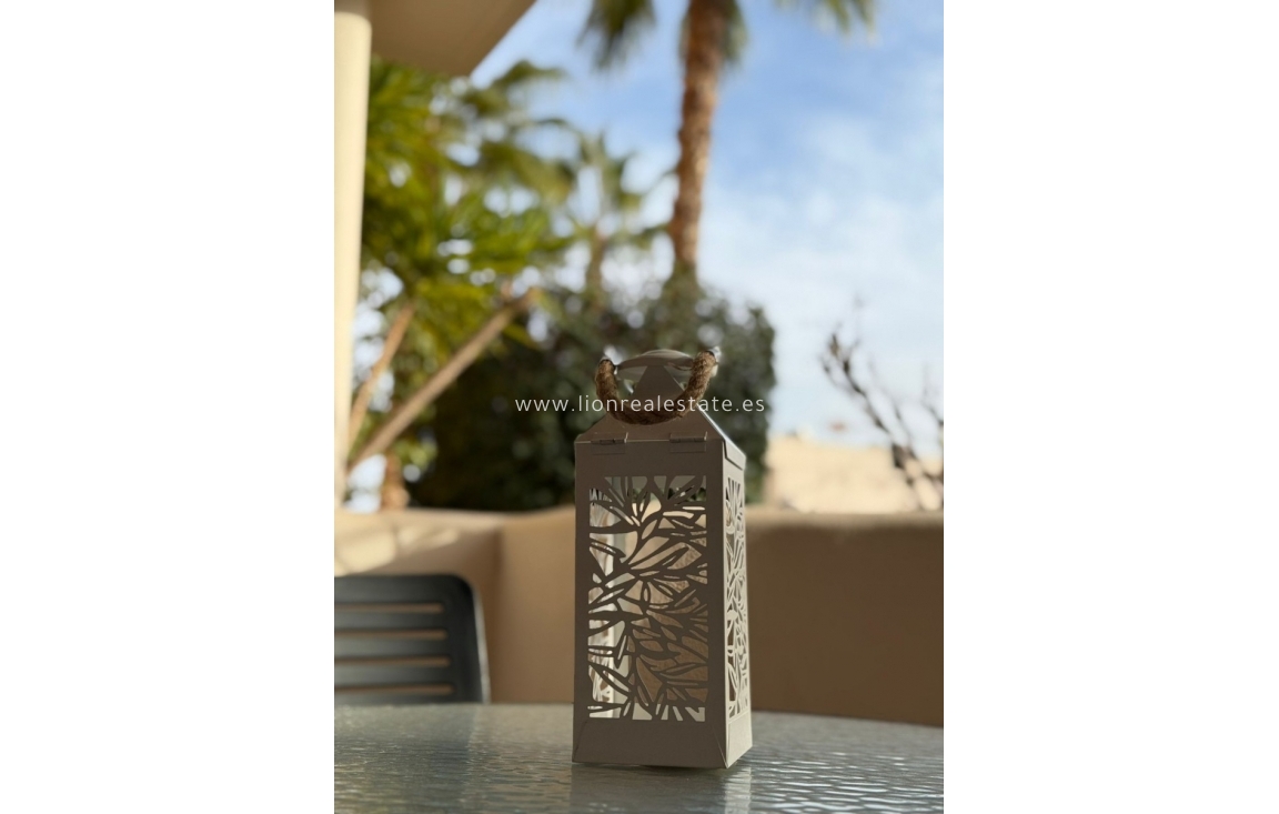 Alquiler a corto plazo - Apartamento / piso - Punta Prima