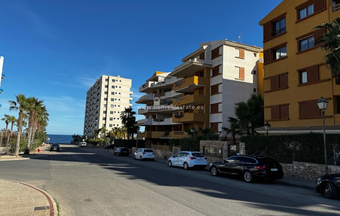 Alquiler a corto plazo - Apartamento / piso - Punta Prima