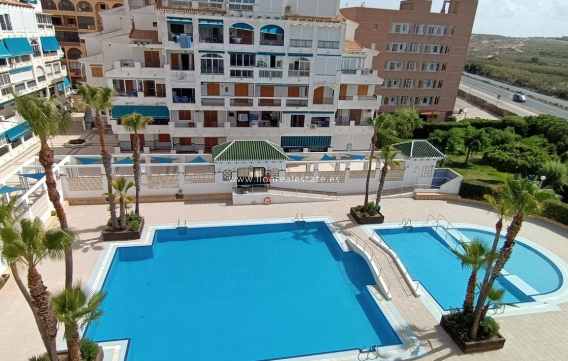 Alquiler a corto plazo - Apartamento / piso - Torrevieja - La Mata