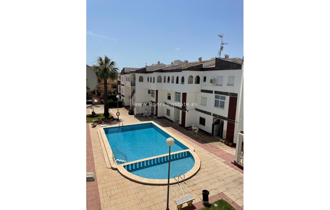 Alquiler a corto plazo - Apartamento / piso - Torrevieja - Punta Prima