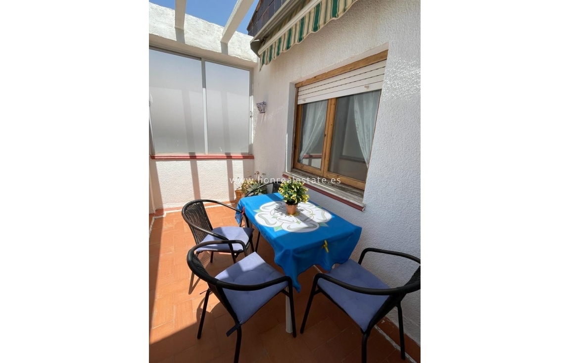 Alquiler a corto plazo - Apartamento / piso - Torrevieja - Punta Prima