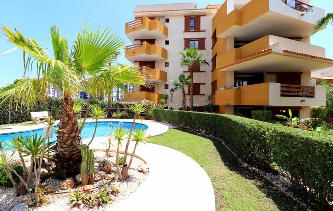 Alquiler a corto plazo - Apartamento / piso - Torrevieja - Punta Prima