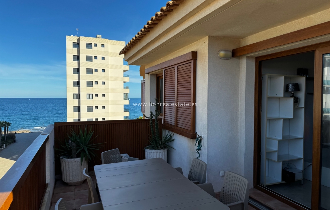 Alquiler a corto plazo - Apartamento / piso - Torrevieja - Punta Prima