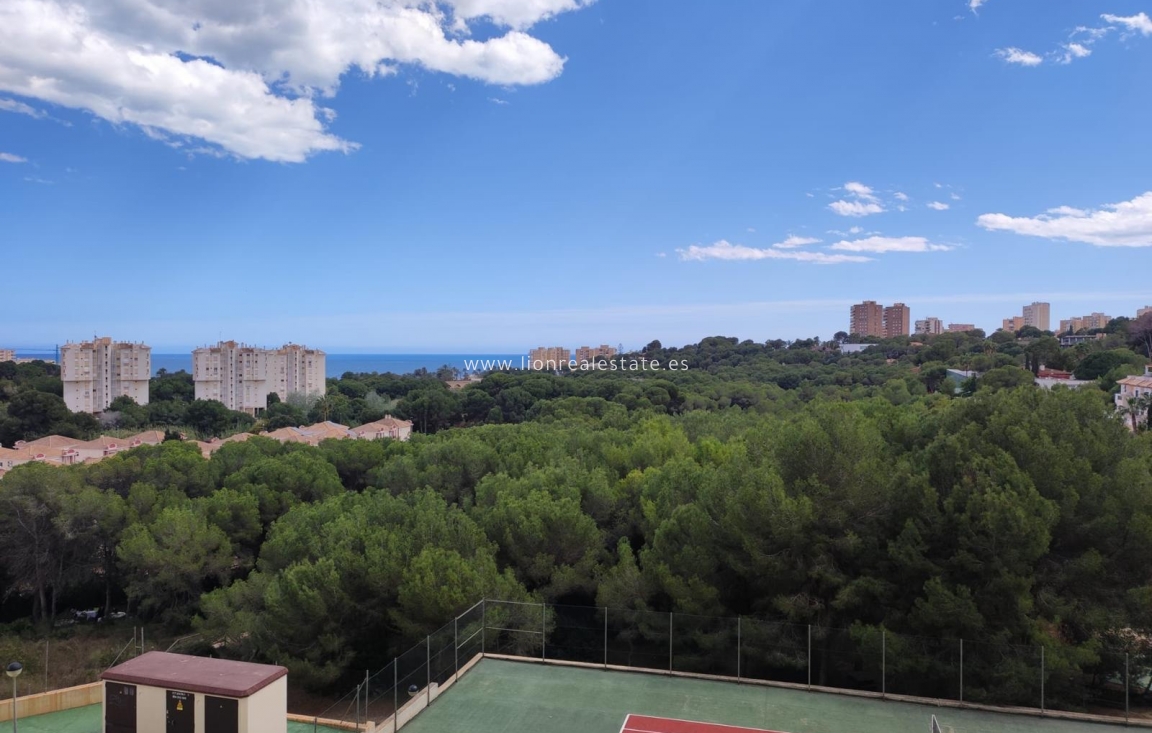 Alquiler a largo plazo - Apartamento / piso - Orihuela Costa - Campoamor