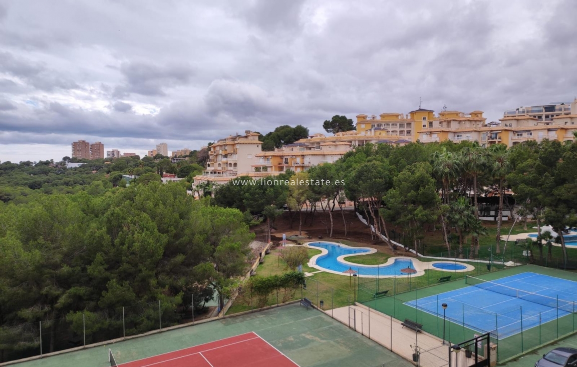 Alquiler a largo plazo - Apartamento / piso - Orihuela Costa - Campoamor