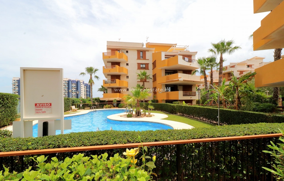 Alquiler a largo plazo - Apartamento / piso - Orihuela Costa - Punta Prima