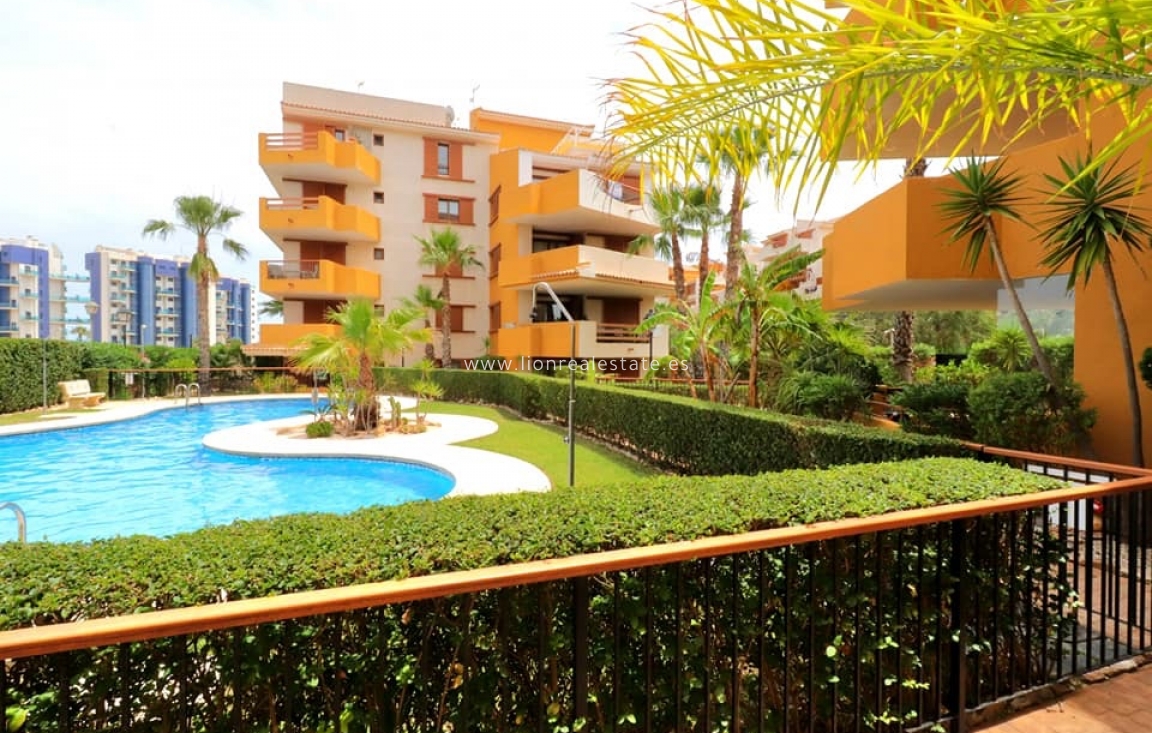 Alquiler a largo plazo - Apartamento / piso - Orihuela Costa - Punta Prima