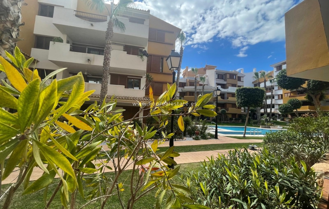 Alquiler a largo plazo - Apartamento / piso - Punta Prima