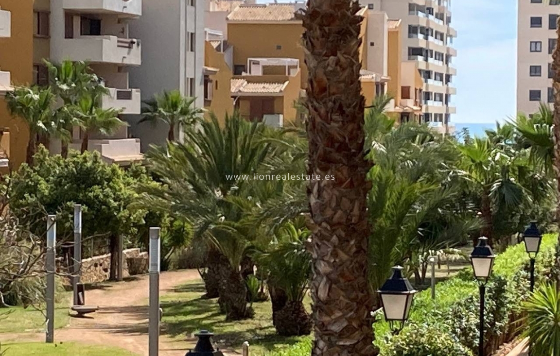 Alquiler a largo plazo - Apartamento / piso - Punta Prima