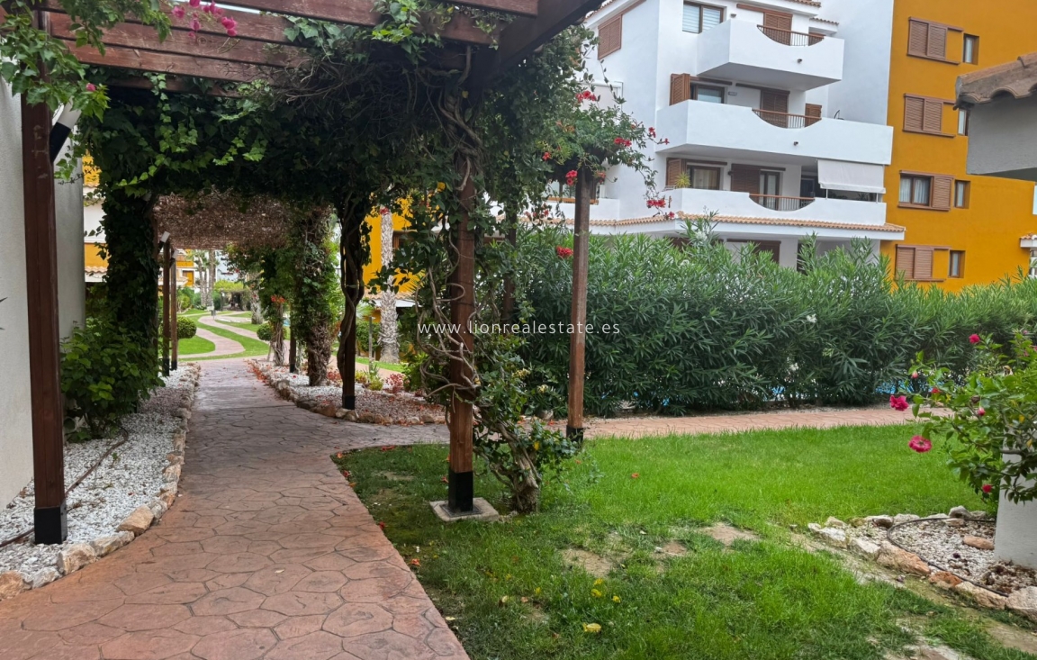 Alquiler a largo plazo - Apartamento / piso - Punta Prima