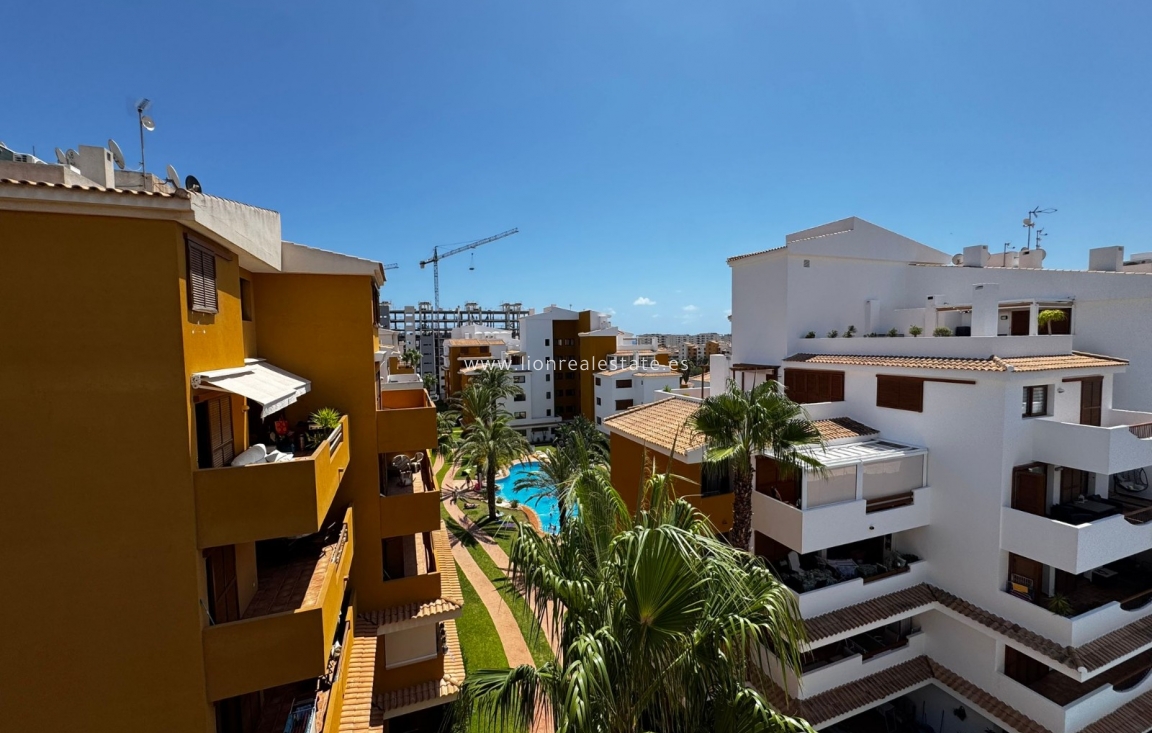 Alquiler a largo plazo - Apartamento / piso - Punta Prima