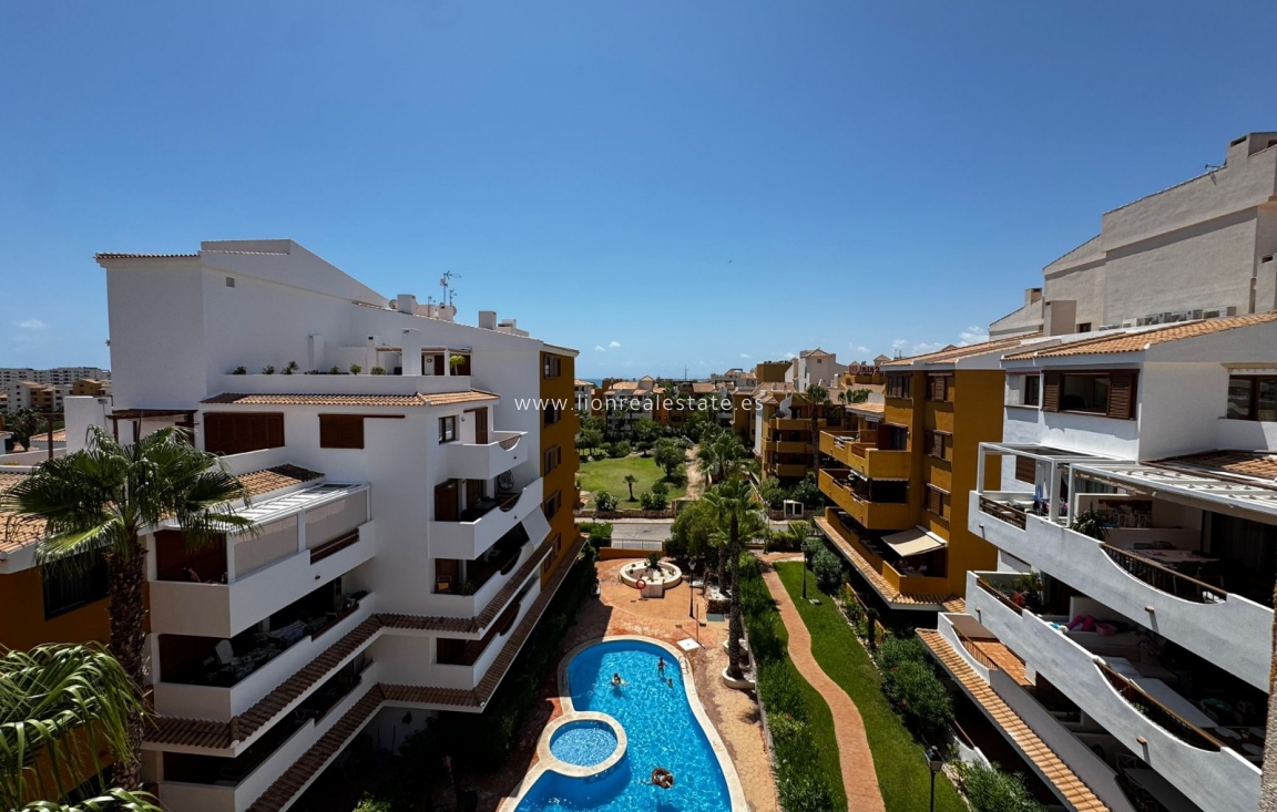 Alquiler a largo plazo - Apartamento / piso - Punta Prima