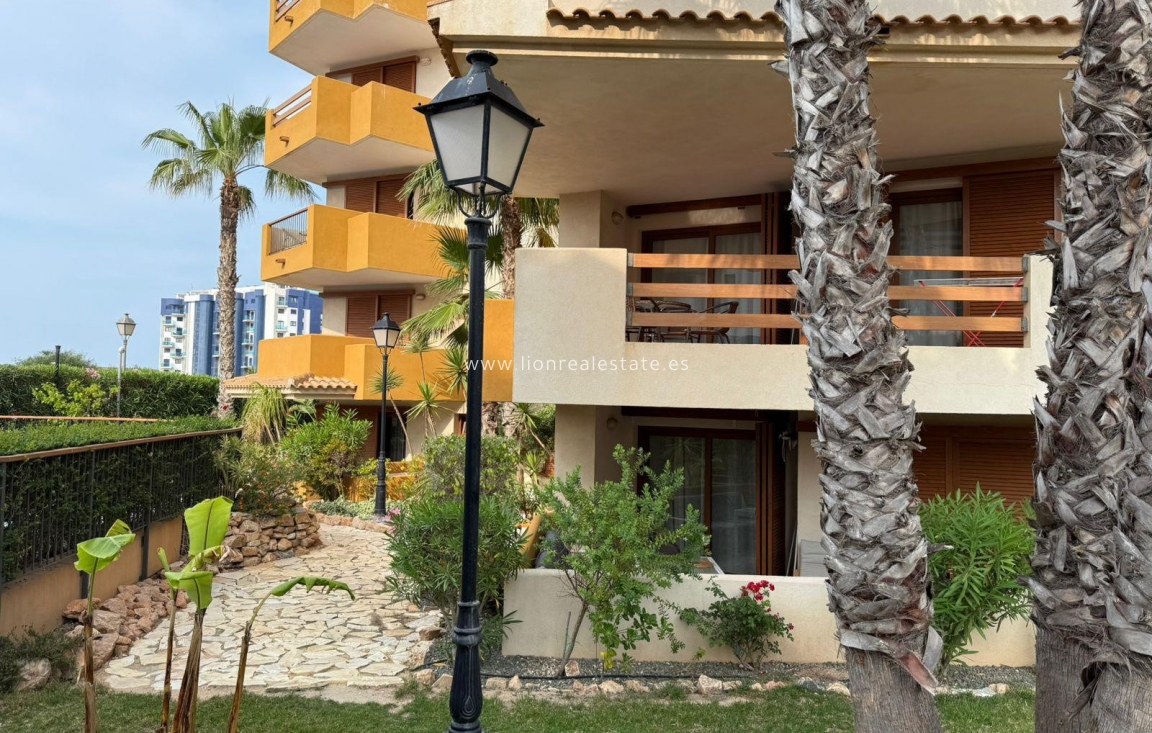 Alquiler a largo plazo - Apartamento / piso - Punta Prima