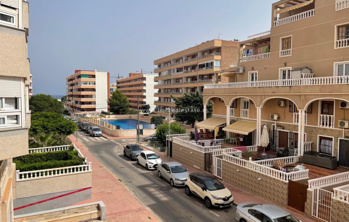 Alquiler a largo plazo - Apartamento / piso - Punta Prima