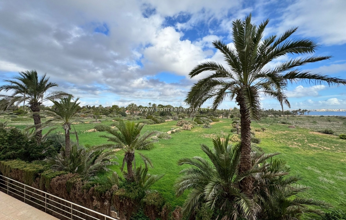 Alquiler a largo plazo - Apartamento / piso - Punta Prima