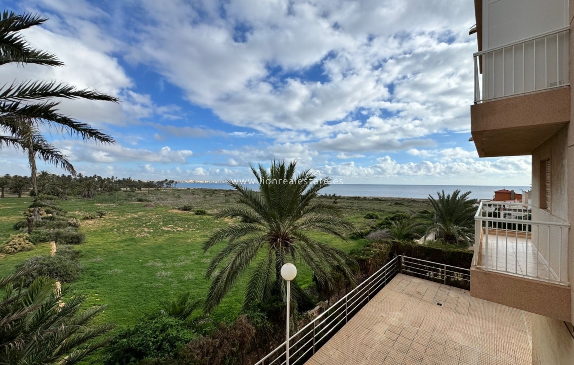 Alquiler a largo plazo - Apartamento / piso - Punta Prima