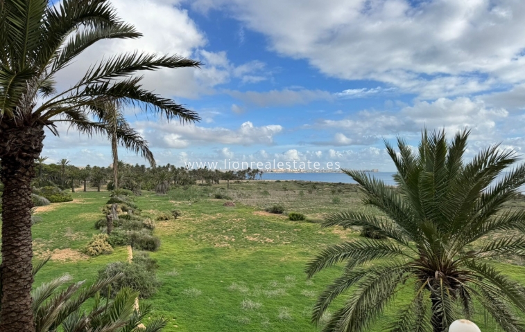 Alquiler a largo plazo - Apartamento / piso - Punta Prima