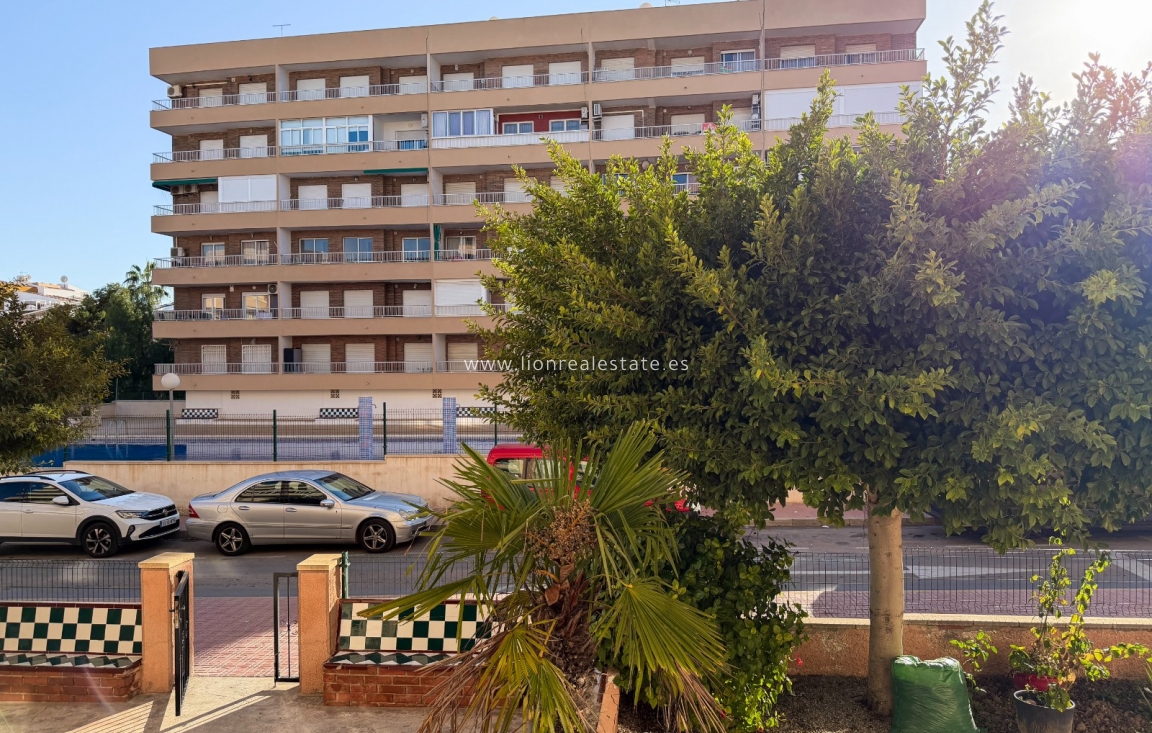 Alquiler a largo plazo - Apartamento / piso - Punta Prima