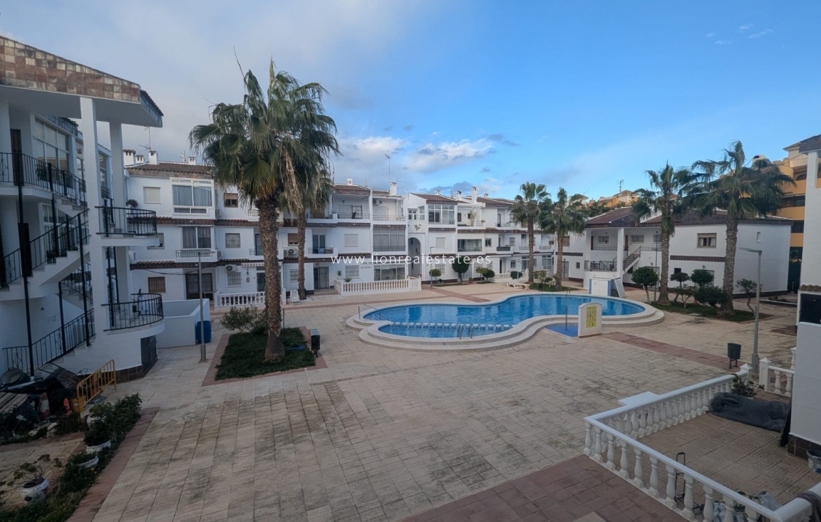 Alquiler a largo plazo - Apartamento / piso - Punta Prima