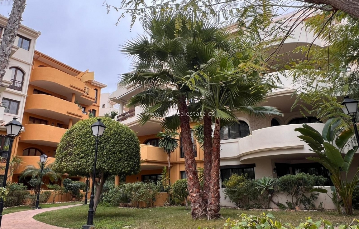 Alquiler a largo plazo - Apartamento / piso - Punta Prima