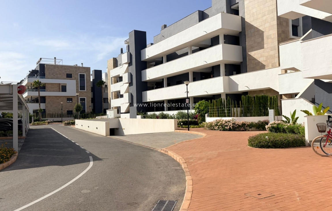 Alquiler a largo plazo - Apartamento / piso - Punta Prima