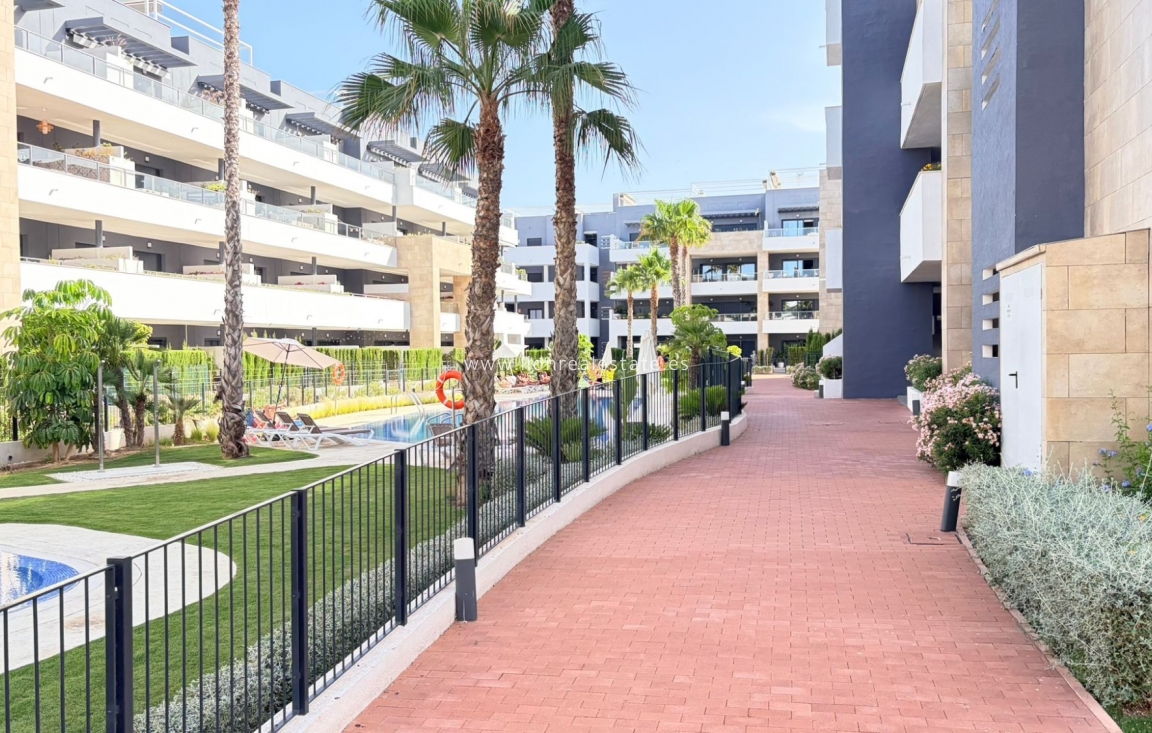 Alquiler a largo plazo - Apartamento / piso - Punta Prima