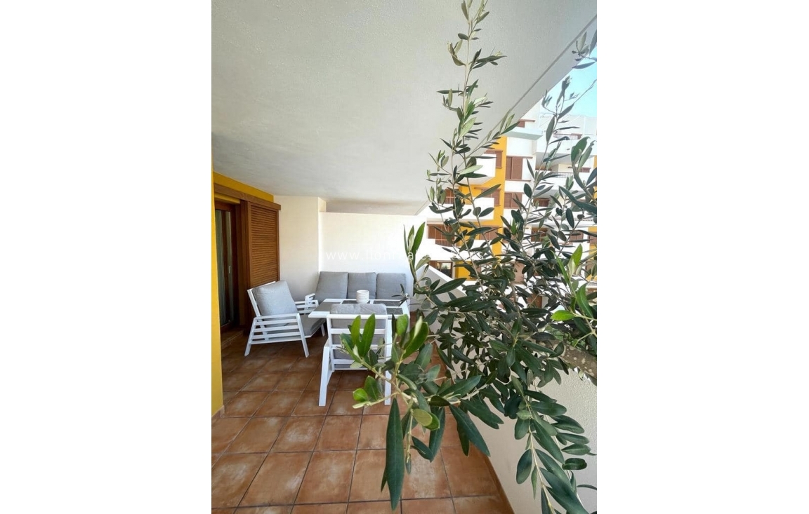 Alquiler a largo plazo - Apartamento / piso - Punta Prima