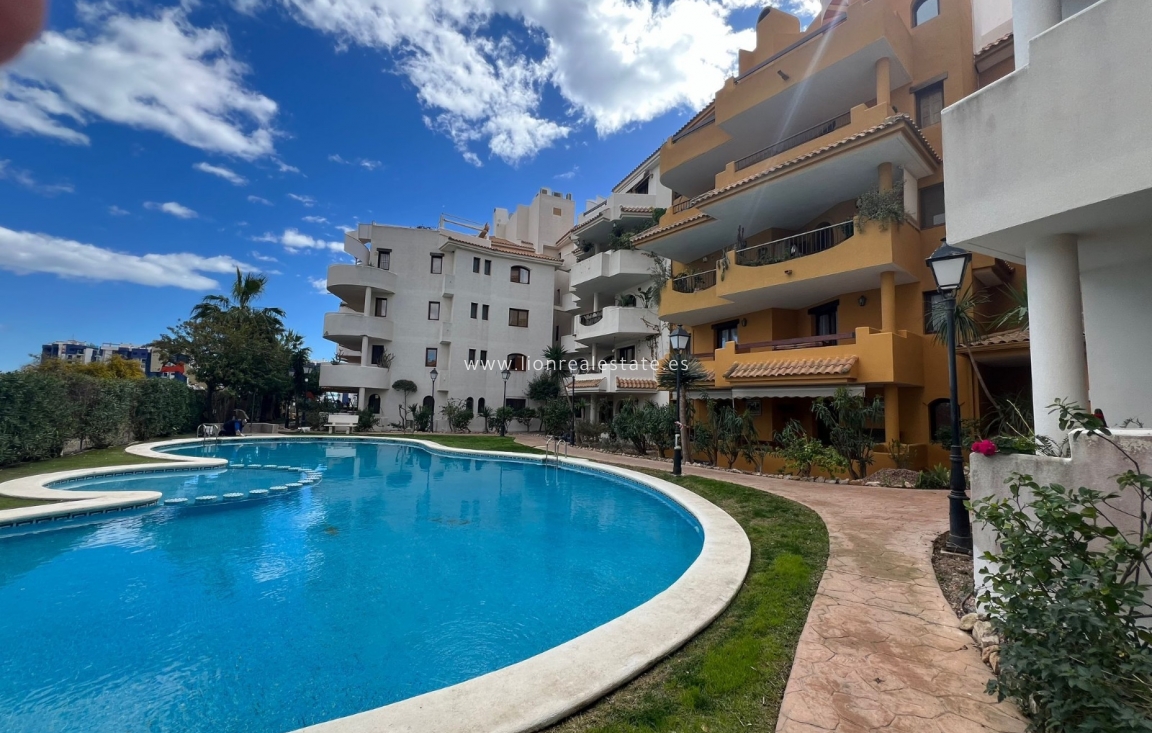 Alquiler a largo plazo - Apartamento / piso - Punta Prima