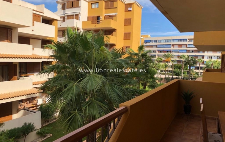 Alquiler a largo plazo - Apartamento / piso - Punta Prima