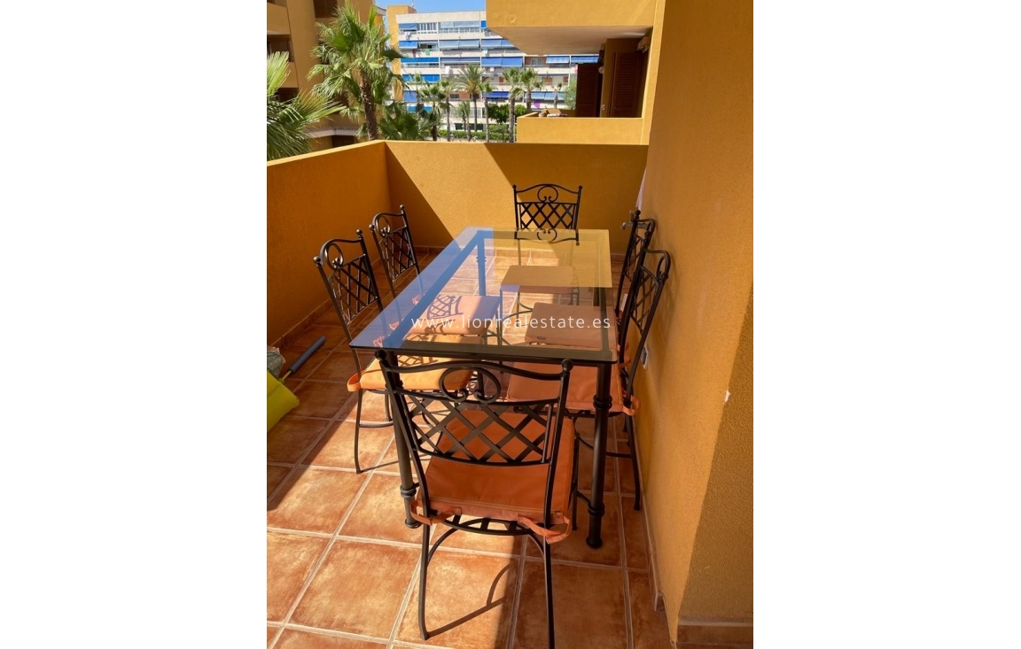 Alquiler a largo plazo - Apartamento / piso - Punta Prima