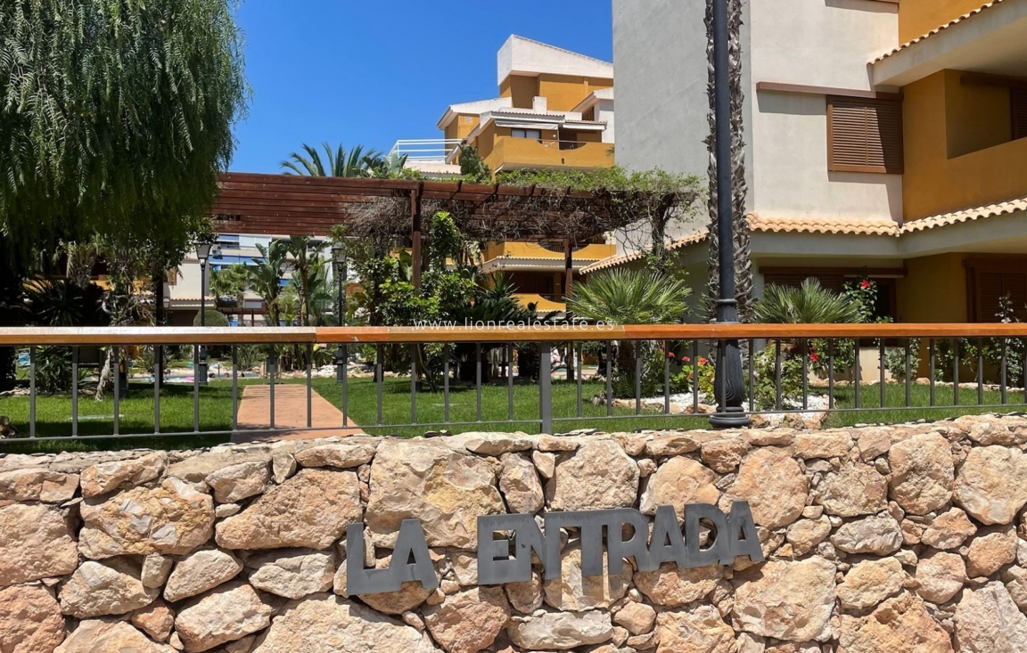 Alquiler a largo plazo - Apartamento / piso - Punta Prima