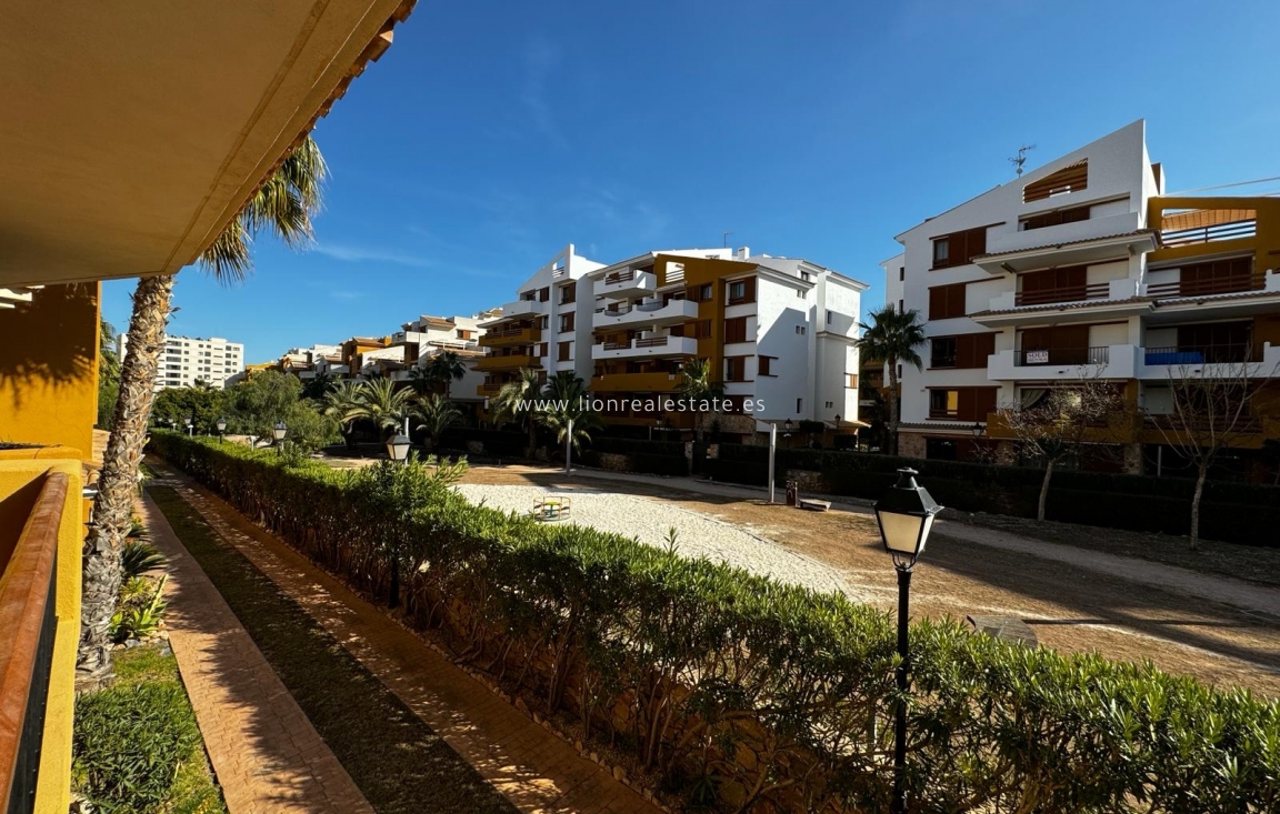 Alquiler a largo plazo - Apartamento / piso - Punta Prima