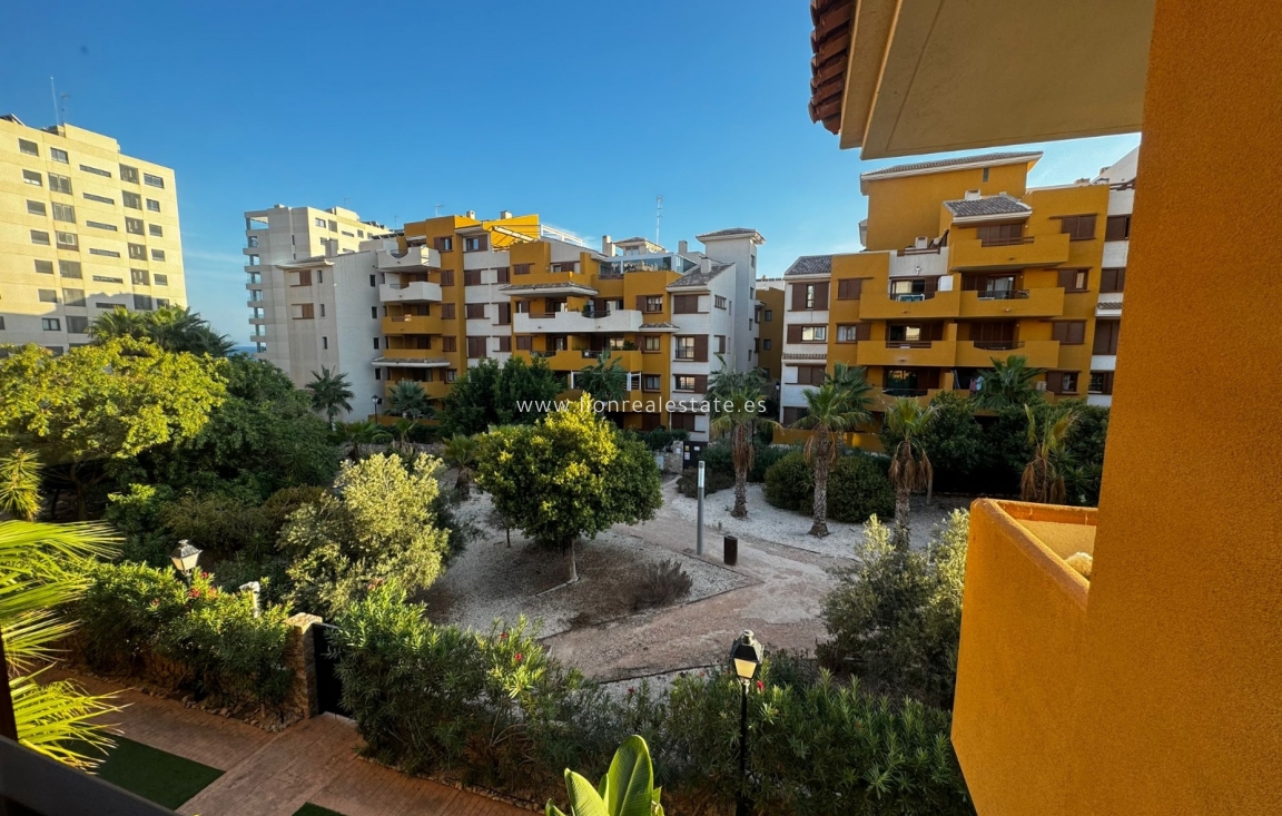 Alquiler a largo plazo - Apartamento / piso - Punta Prima
