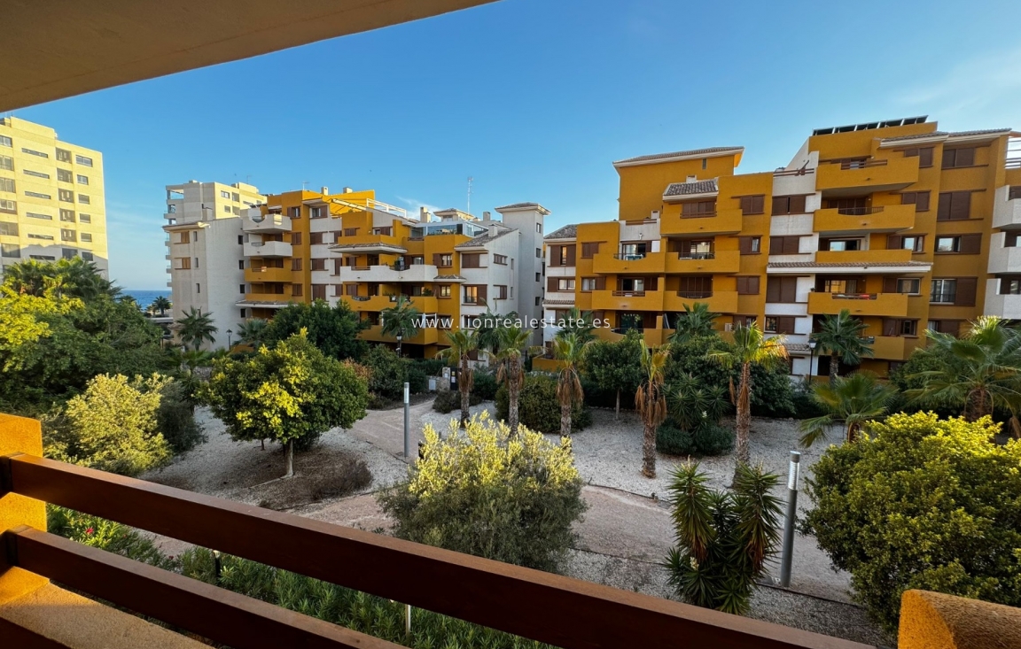 Alquiler a largo plazo - Apartamento / piso - Punta Prima