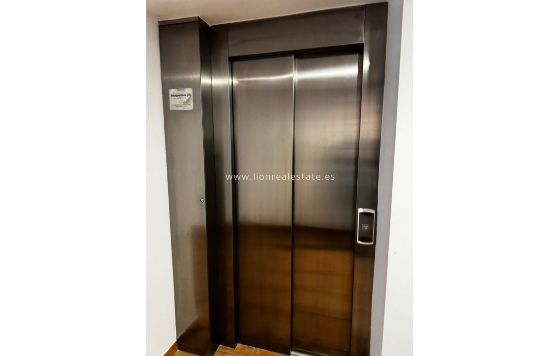 Alquiler a largo plazo - Apartamento / piso - Punta Prima