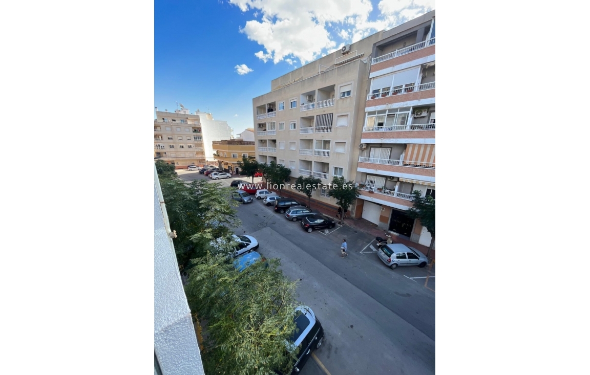 Alquiler a largo plazo - Apartamento / piso - Torrevieja - Centro