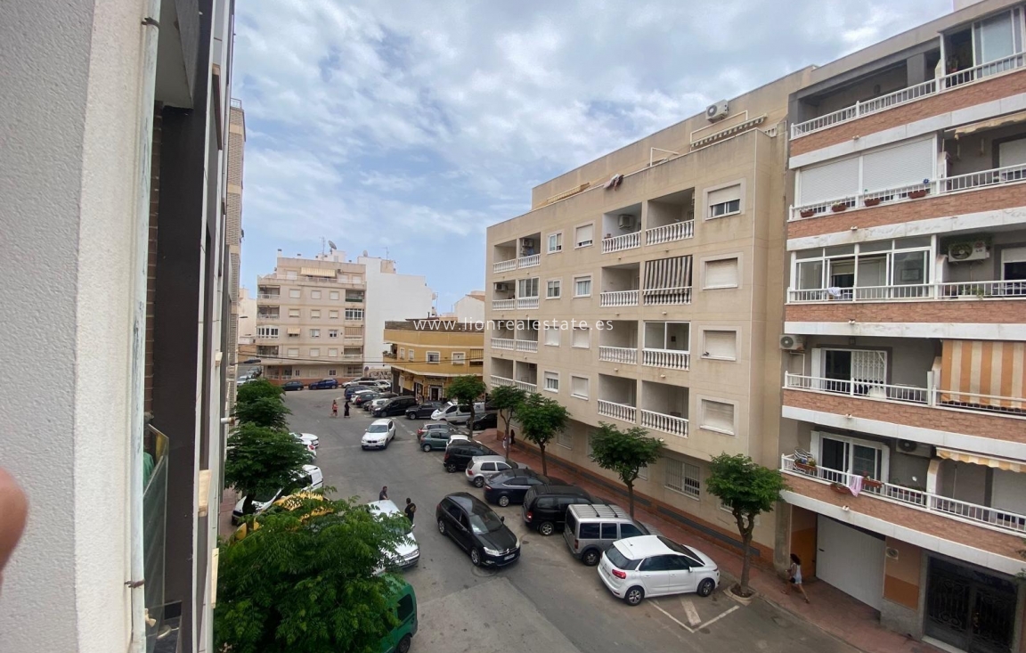 Alquiler a largo plazo - Apartamento / piso - Torrevieja - Centro